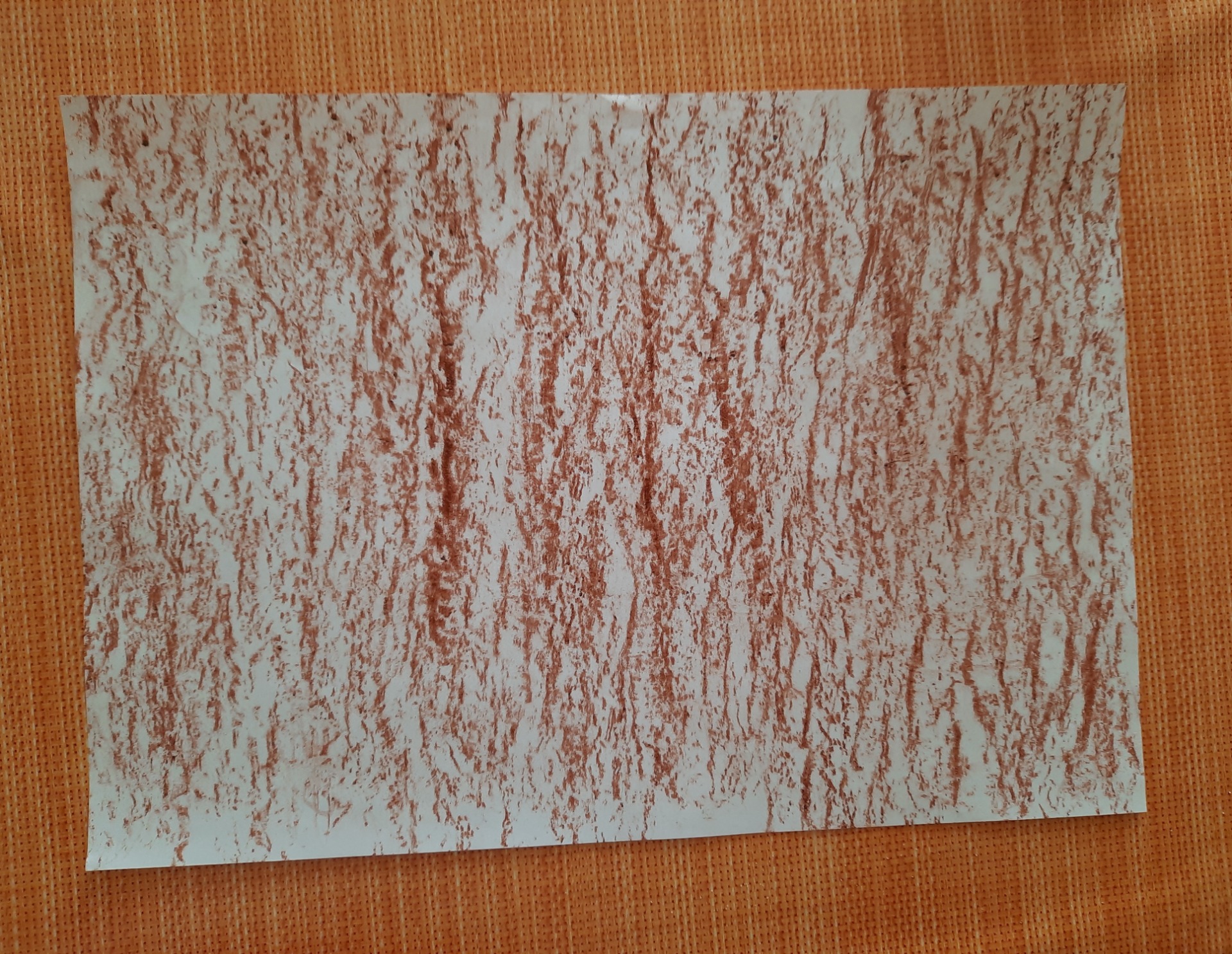 Kůra od Lucky. Milá Lucko, jsi úžasná, jak pracuješ.